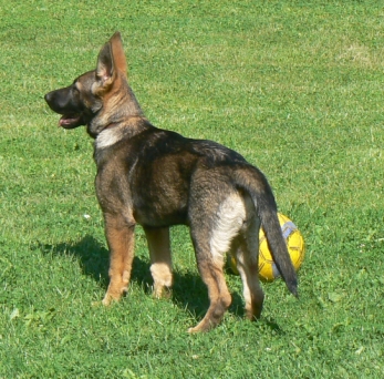 Schránka02.jpg