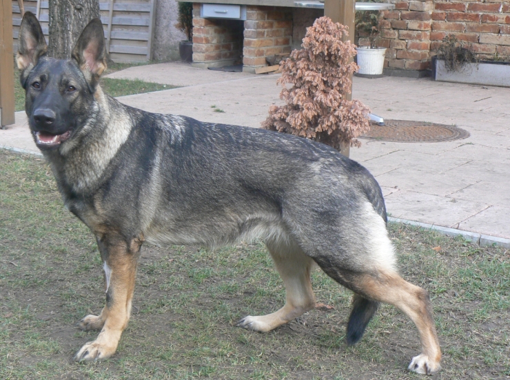 Schránka06.jpg
