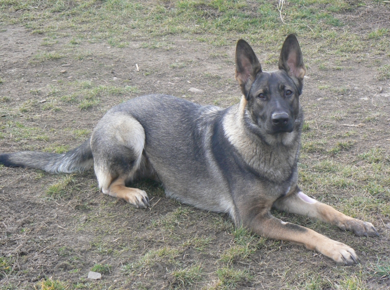 Schránka08.jpg